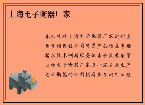 上海电子衡器厂家